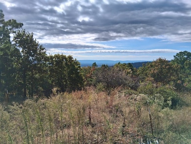 13308 SE 180th Rd, Talihina, OK 74571 - photo 2