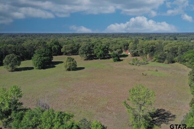 10698 County Road 2222, Arp, TX 75750 - photo 2