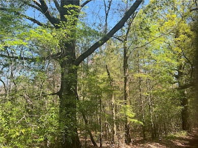 0 Nation Rd, Deville, LA 71328 - photo 2