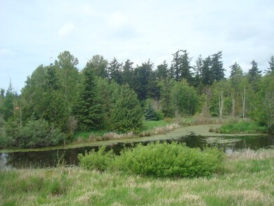 5076 Festival Blvd unit 2B, Bellingham, WA 98226 - photo 4