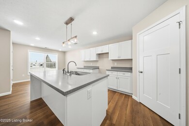 25 Paislynne Ct, Brandenburg, KY 40108 - photo 5