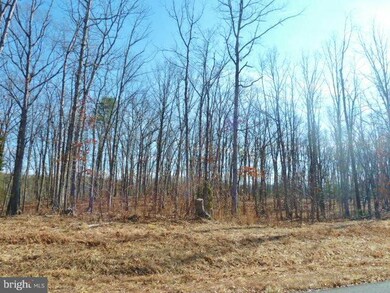 LOT 37 Comforter Ln, North River, VA 22645 - photo 2