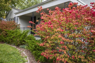 4456 Midvale 05