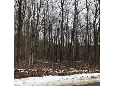 0 Kingsway Ct unit 175 & 176 3970063, Howard, OH 43028 - photo 3