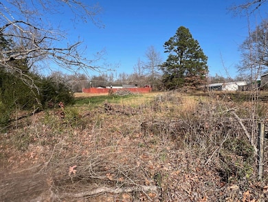 135 Gean Ln, Savannah, TN 38372 - photo 4