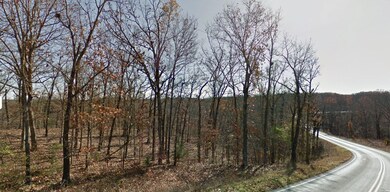 Tbd State Hwy 76, Shell Knob, MO 65747 - photo 7