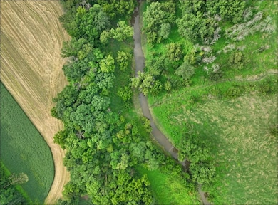 Xxx Dutch Hollow Rd, Potosi, WI 53820 - photo 6