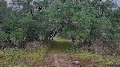 000 Coletoville Rd, Victoria, TX 77905 - photo 3