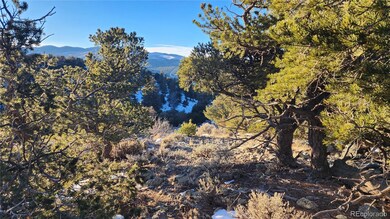 4480 Laidlaw Rd, Fort Garland, CO 81133 - photo 4