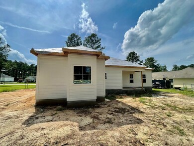 105 Quail Pines Ct, Sylvester, GA 31791 - photo 3