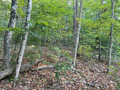 Tract 6 Cumberland Ridge Dr, Somerset, KY 42501 - photo 4