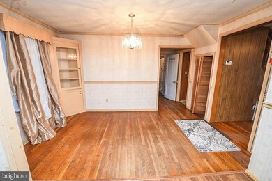 524 E William St, Salisbury, MD 21804 - photo 7