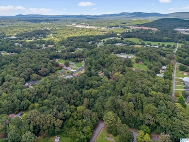 0 Bow St unit 1, Anniston, AL 36206 - photo 4