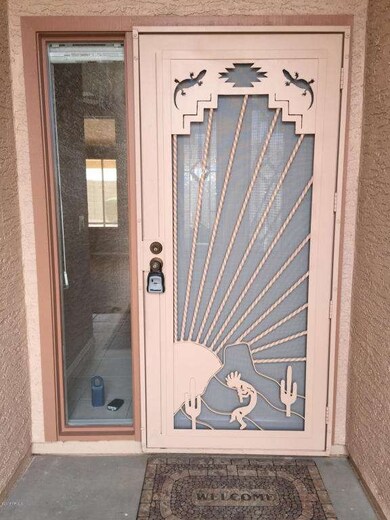 Custom Screened Front Door