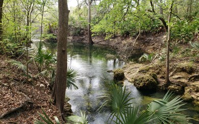 Running Springs