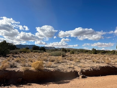 0000 N Running Brook Dr, Hackberry, AZ 86411 - photo 5
