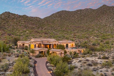 Backing to the Tonto Forest