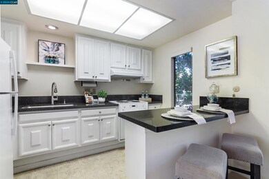 1316 Singingwood Ct unit 4, Walnut Creek, CA 94595 - photo 7