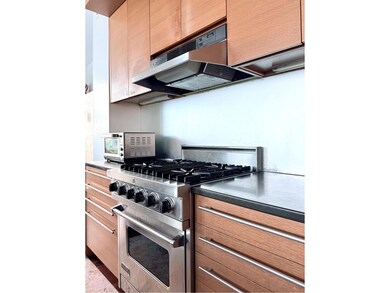Millennium Tower Residences unit 3B, New York, NY 10004 - photo 7