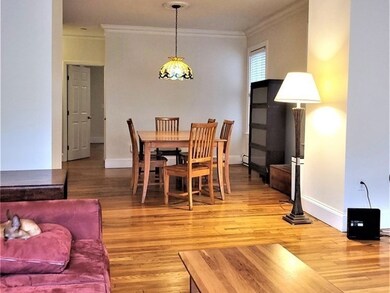 118 Franklin St unit 1, Brookline, MA 02445 - photo 3