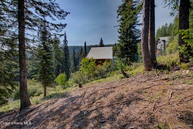 Blk4 Lot4 Ullr Dr, Sandpoint, ID 83864 - photo 5