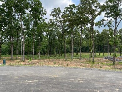 0 Orchard Hill Lot 4 Ph 3 unit 22017228, Conway, AR 72034 - photo 5