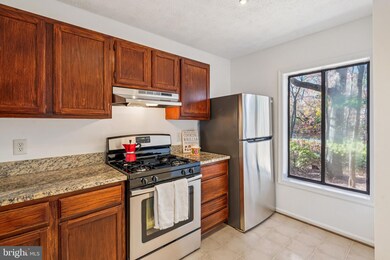 2203 Hunters Run Dr, Reston, VA 20191 - photo 7