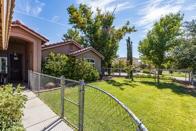 Front Yard and Entry