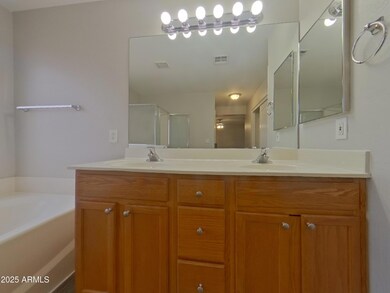 8423 W Hamster Ln, Tolleson, AZ 85353 - photo 7