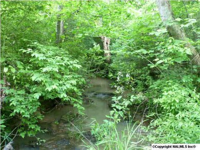 stream