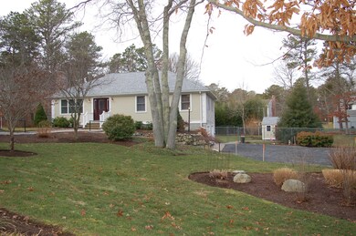 Cathy Mashpee 004