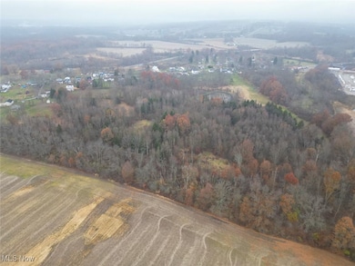 0 Harvey Cir, Chippewa Township, OH 44270 - photo 7