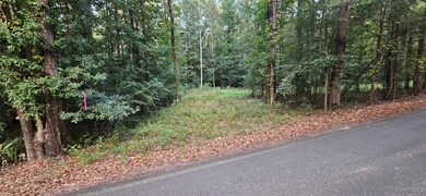0000 Old Sellers Rd, Ramer, AL 36069 - photo 7