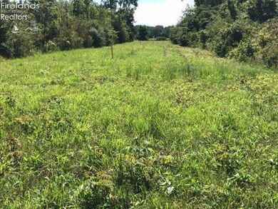 0 Devils Hole Rd unit 20192020, Pemberville, OH 43450 - photo 5