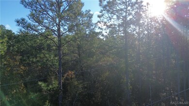 3882 W Fireside Ln, Citrus Springs, FL 34433 - photo 5