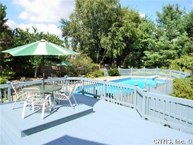 Pool In Ground