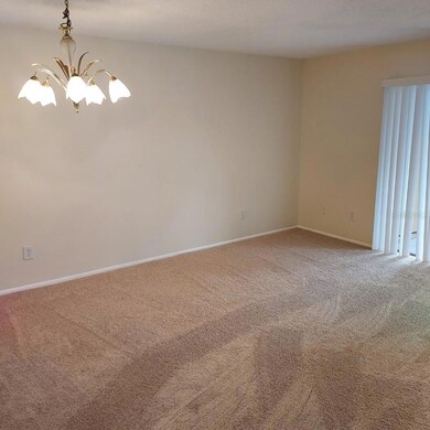 4411 Shady Terrace Ln unit 302, Tampa, FL 33613 - photo 2
