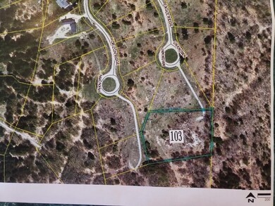 0 Eagle Ridge Cir unit Lot 103 25013457, Onekama Township, MI 49675 - photo 6