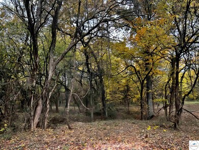 125 SE 315p Rd, Clinton, MO 64735 - photo 7