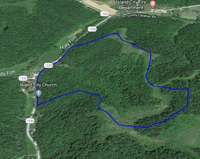 1350 Ky Hwy and Holly Fork, Booneville, KY 40983 - photo 7