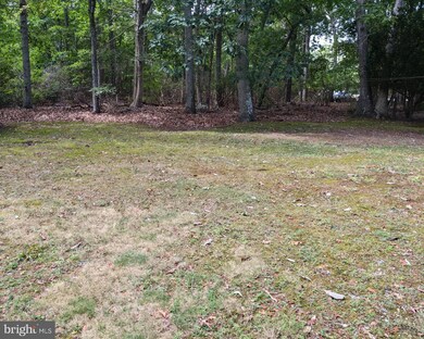 16 Country Club Blvd, Little Egg Harbor Township, NJ 08087 - photo 5