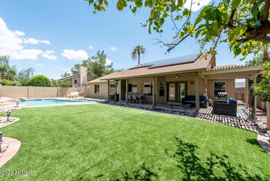No Mow Lawn