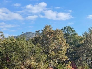 Lot 2 Jay Bird Trail, Franklin, NC 28734 - photo 2