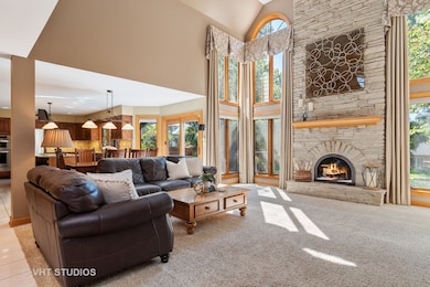 2005 Mustang Dr, Naperville, IL 60565 - photo 5