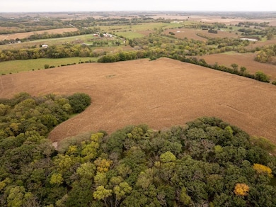 Tbd L Rd, Palmyra, NE 68418 - photo 4