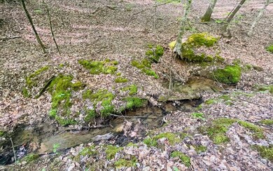 Additional View
