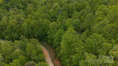 0 Cove Gap Rd unit Offering 1, Moravian Falls, NC 28654 - photo 2