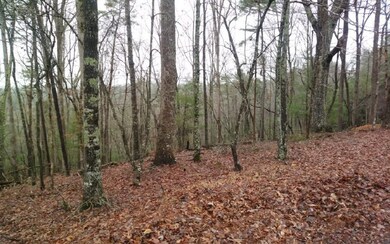 Additional View