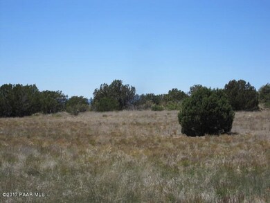 0 E Cougar Ridge Rd unit 1003603, Paulden, AZ 86334 - photo 6