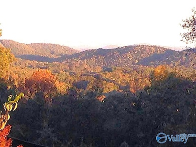 734 Grandview Dr, Altoona, AL 35952 - photo 7